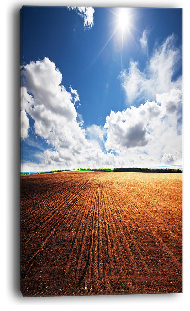 "Expansive Field Under White Clouds" Modern Landscape Wall Art Canvas, 20"x40"