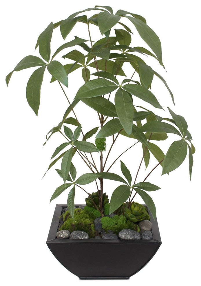 Artificial Chinese Money Tree with Succulents in Black Zinc Pot
