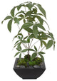 Artificial Chinese Money Tree with Succulents in Black Zinc Pot