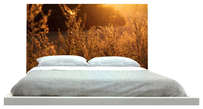 "Morning Sunny Field" Headboard