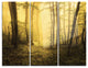 "Trail Through Yellow Foggy Forest" Photo Metal Wall Art, 3 Panels, 36"x28"