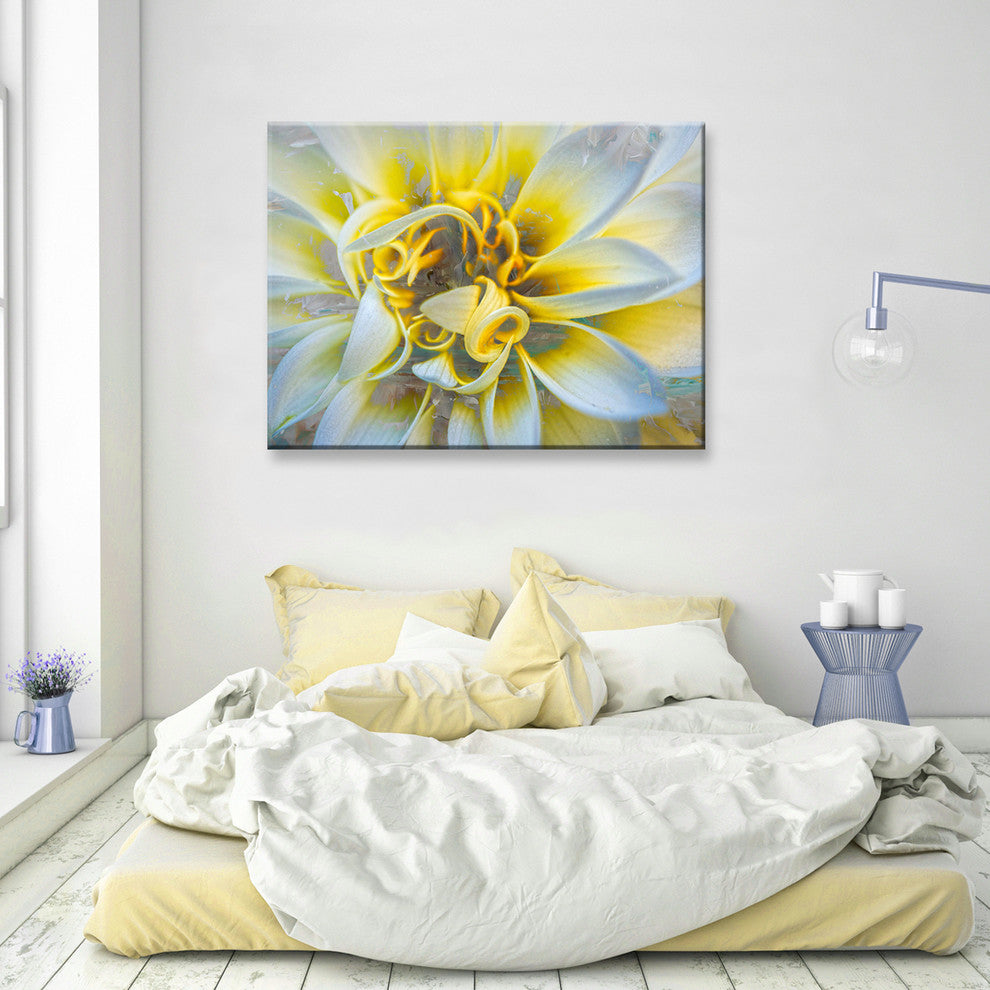 Ready2Hangart 'Painted Petals Xxxvii' Canvas Wall Art, 20" Hx30" W