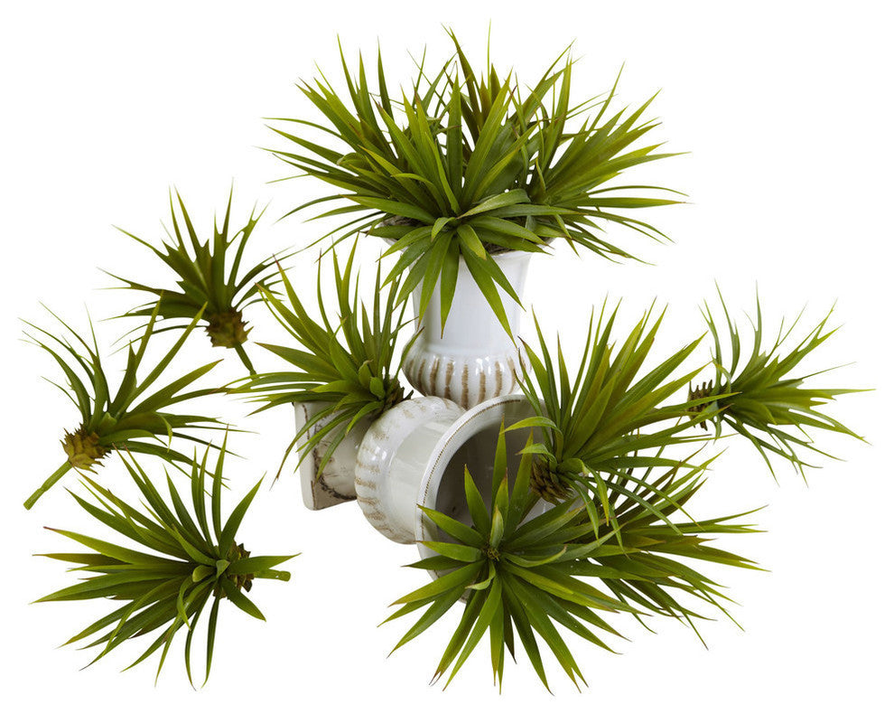 Mini Spiky Agave Succulent Plant, Set of 12, Green
