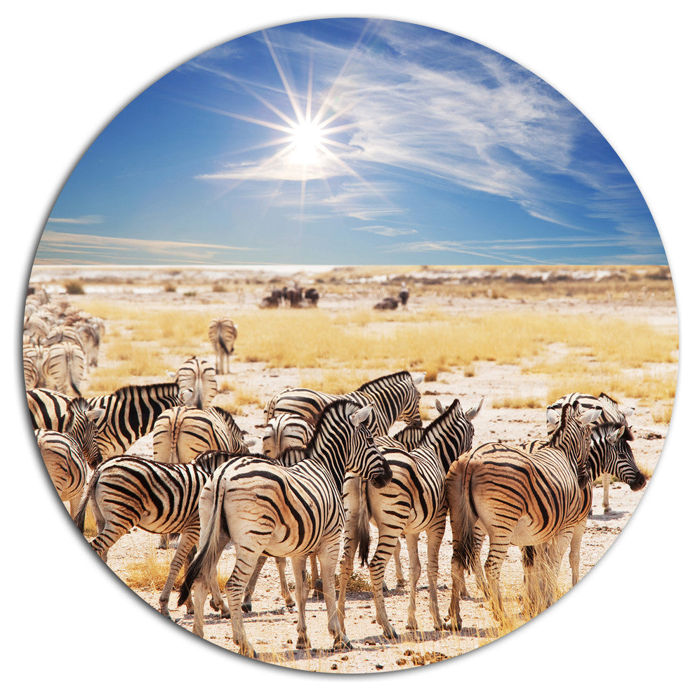 Beautiful Herd Of Zebra On Bright Day, African Round Metal Artwork, 23"