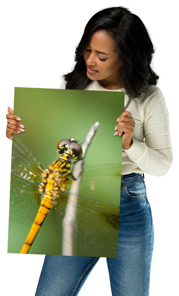 Dragonfly at Bombay Hook Wildlife Photography Unframed Wall Art Print, 12" X 18"