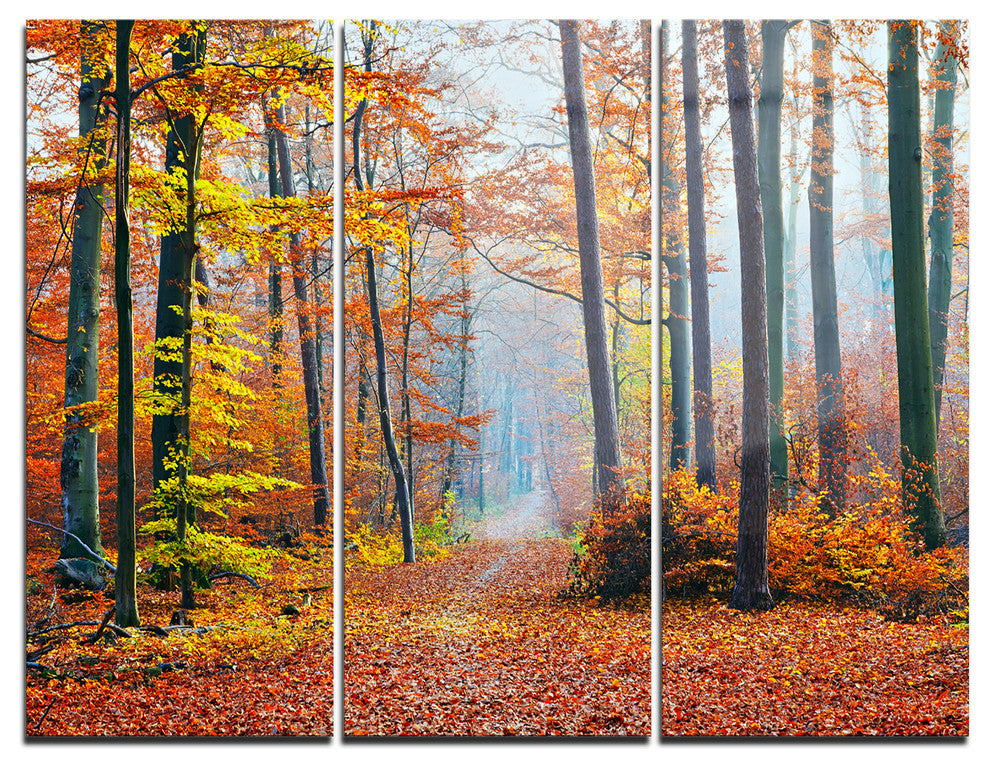 "Orange Green Fall Leaves in Forest" Photo Metal Wall Art, 3 Panels, 36"x28"