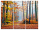 "Orange Green Fall Leaves in Forest" Photo Metal Wall Art, 3 Panels, 36"x28"