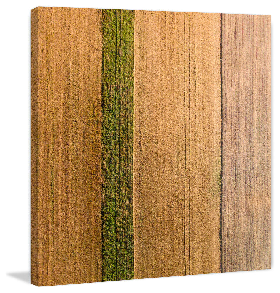 "Seeded Land" Print on Canvas by Karolis Janulis
