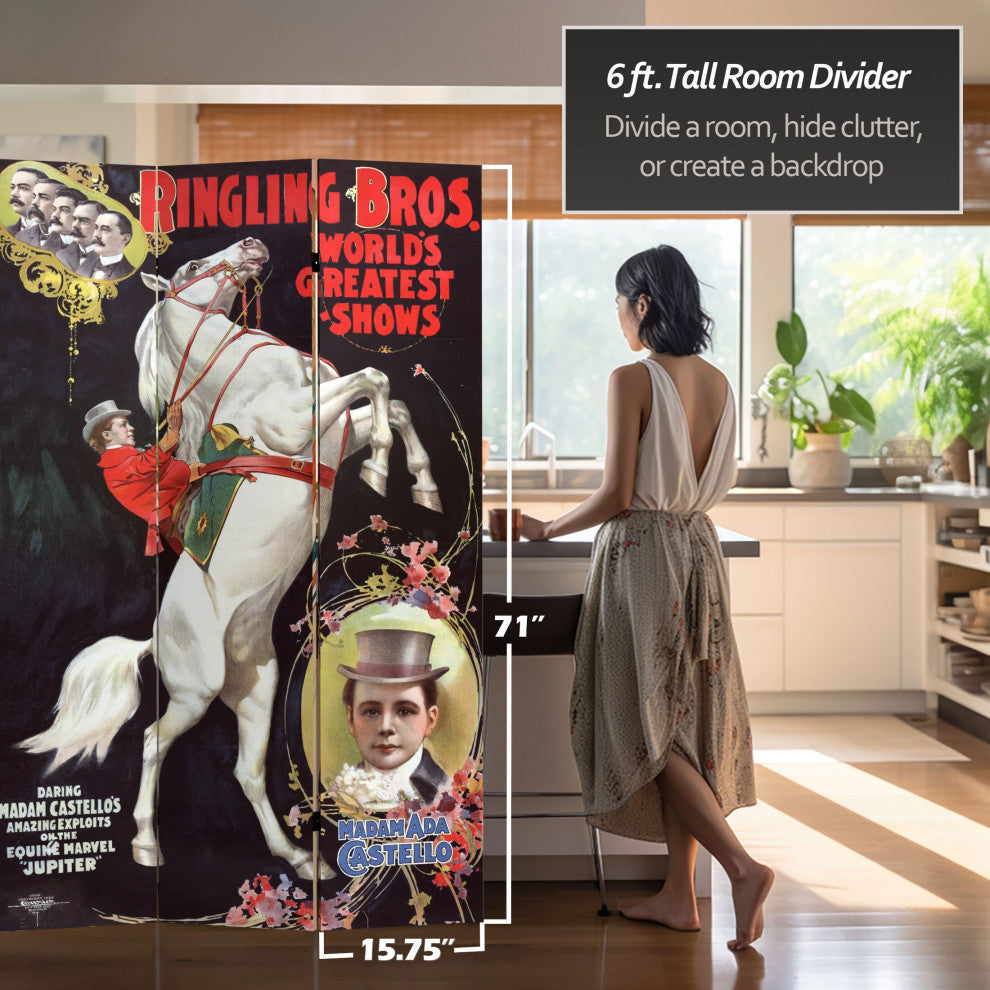 6' Tall Double Sided Circus Room Divider