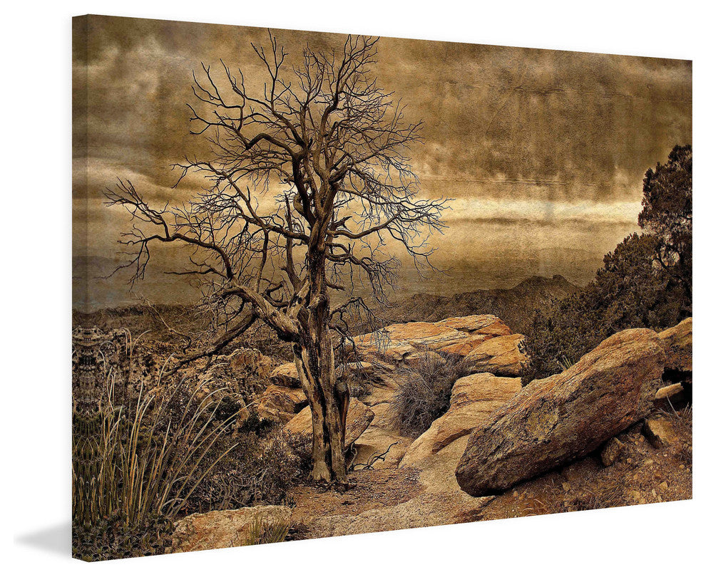 "Crags and Crooks I" Painting Print on Canvas by Robertson