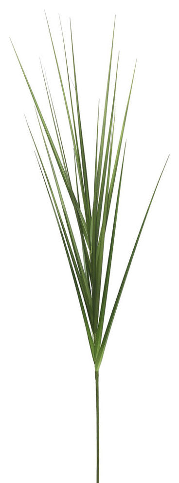 24" Extra Full Grass Potted