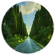 Straight Cypress Trees Boulevard, Landscape Round Metal Wall Art, 11"