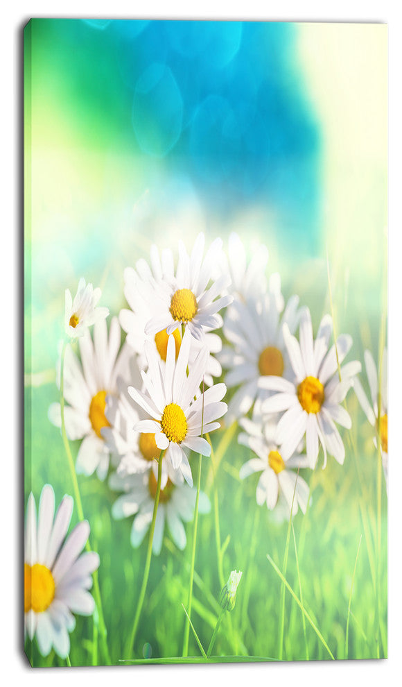 Little White Chamomiles in Garden, Floral Canvas Art Print, 16"x32"