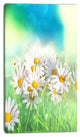 Little White Chamomiles in Garden, Floral Canvas Art Print, 16"x32"
