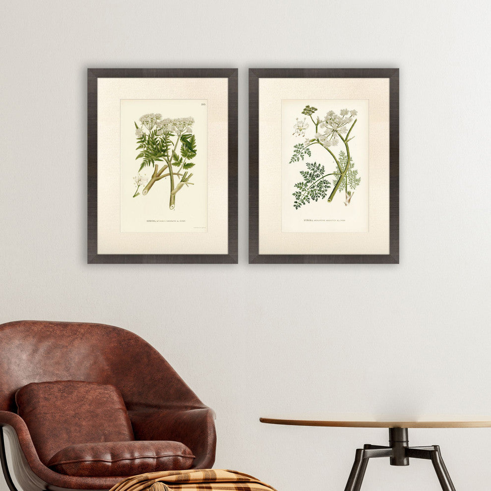 Queen's Lace I Framed Art, 2-Piece Set
