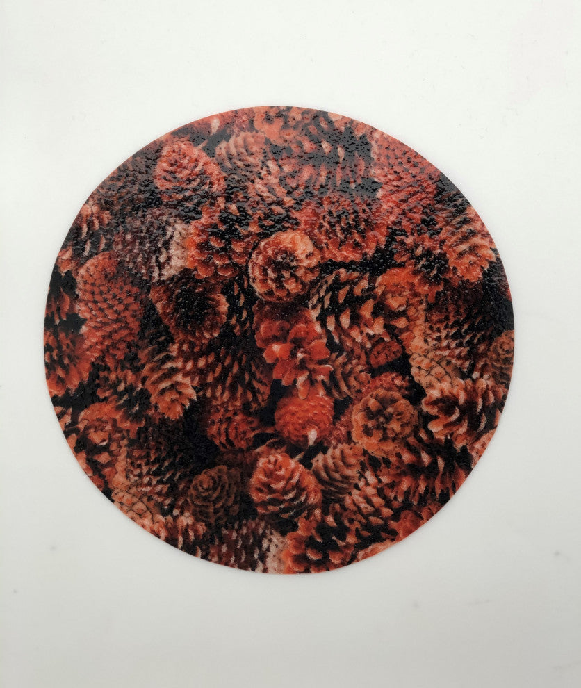Andreas Pinecones Jar Opener