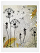 Deny Designs Iveta Abolina Little Dandelion Art Print