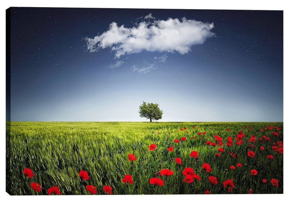 Epic Graffiti "Lone Tree in a Poppy Field" Giclee Canvas Wall Art, 26"x40"
