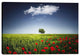 Epic Graffiti "Lone Tree in a Poppy Field" Giclee Canvas Wall Art, 26"x40"