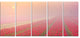 "Sunrise Over Rows of Tulips" Landscape Wall Art Canvas Print, 5 Panels, 60"x28"