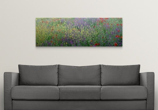 "Wildflowers El Escorial Spain" Canvas Art, 60"x20"x1.25"