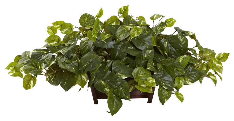 Pothos With Rectangle Decorative Planter, Green