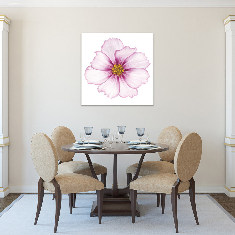 "Magenta Cosmo on White" Wall Art Frameless Free Floating Tempered Glass