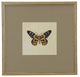 Matted Single Butterfly Print