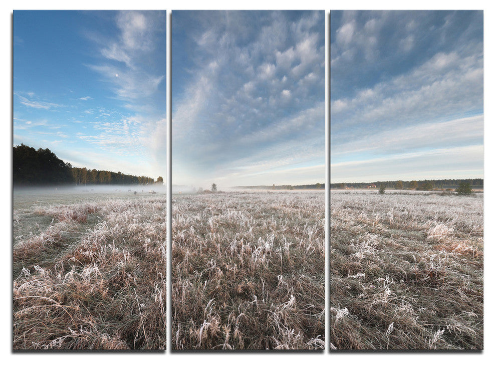 "Autumn Hoarfrost on Grass" Metal Wall Art, 3 Panels, 36"x28"