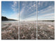 "Autumn Hoarfrost on Grass" Metal Wall Art, 3 Panels, 36"x28"