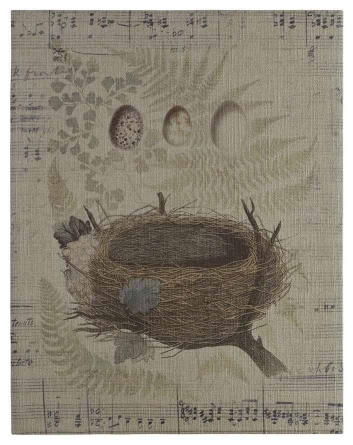 Nest and Eggs Gallery