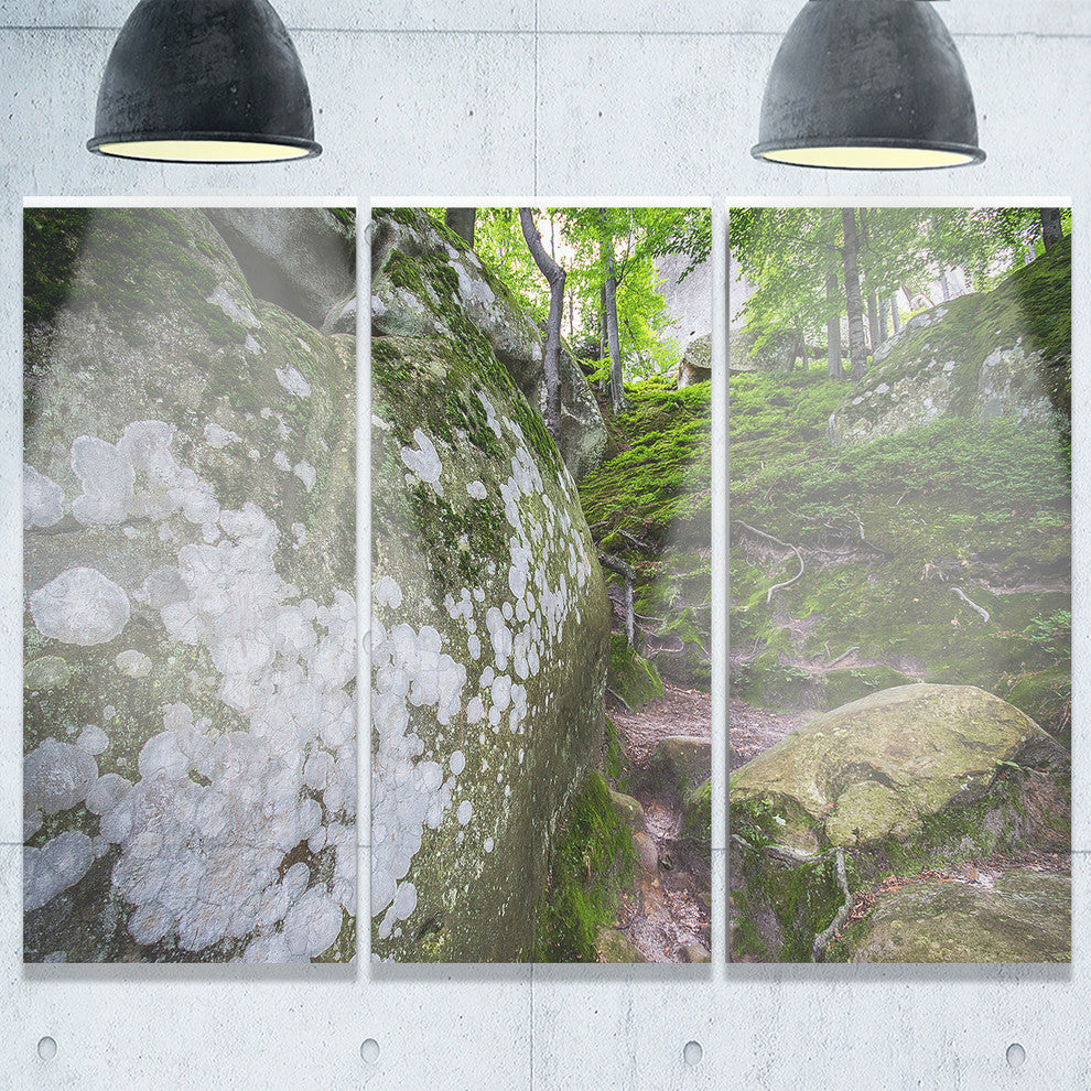 "Large Rocks in Deep Moss Forest" Metal Wall Art, 3 Panels, 36"x28"