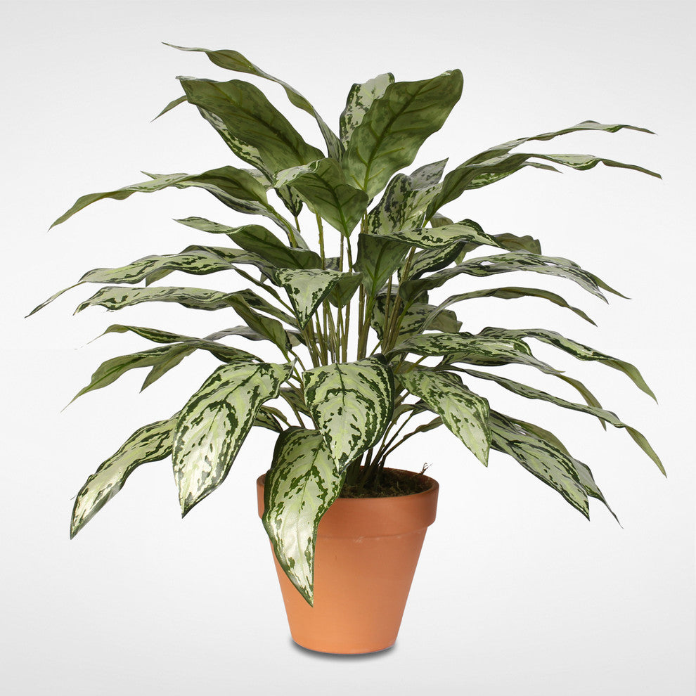 Green and Silver Artificial Silver Queen Silk Plant in Clay Pot