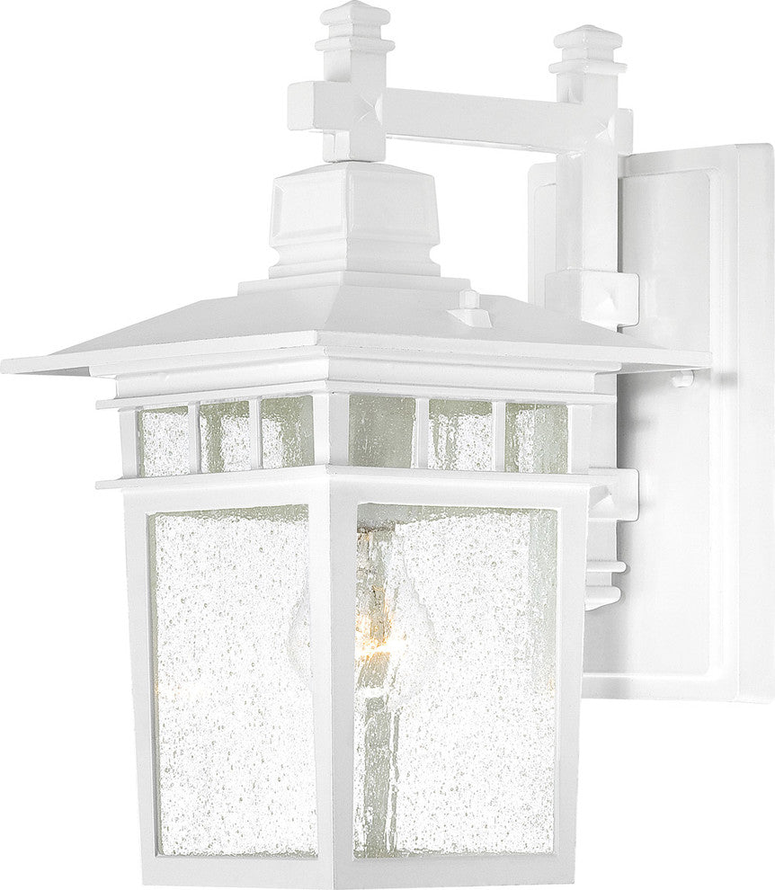 Traditional Cove Neck 1 Lgt Outdoor Wall, White / Glass Finish