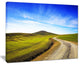 "Rural Road And Olive Trees Uphill" Landscape Wall Art, 40"x30"