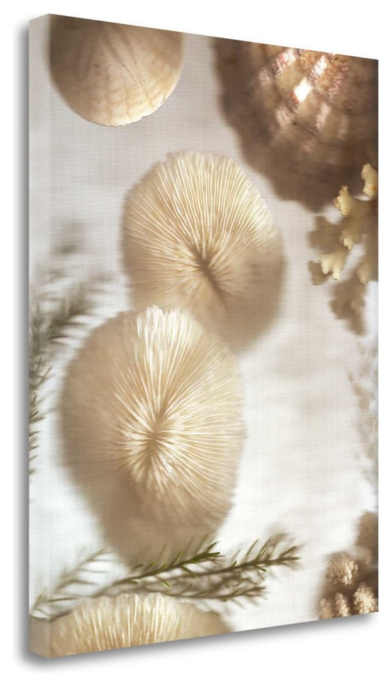 "Nautical Illuminations No.2" By Alan Blaustein, Giclee on Gallery Wrap Canvas