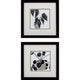 Plantling B Framed Art, 2-Piece Set
