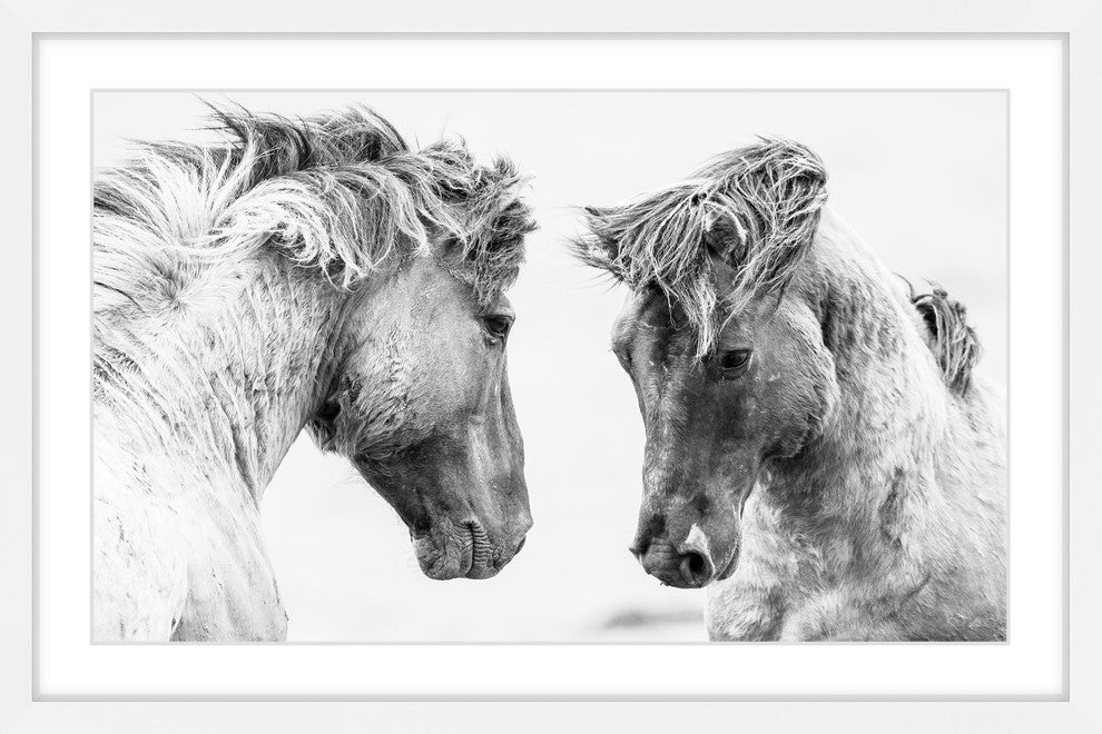 Marmont Hill, "Horse Pair" Framed Painting Print, 45x30