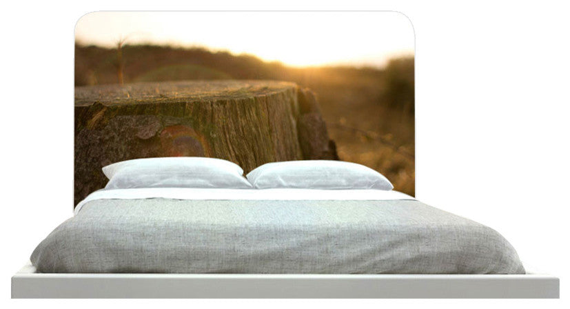 "Sunset Over Stump" Headboard