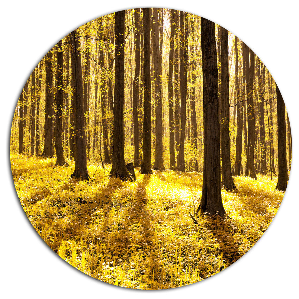 Bright Green Forest At Sunset, Forest Disc Metal Wall Art, 23"