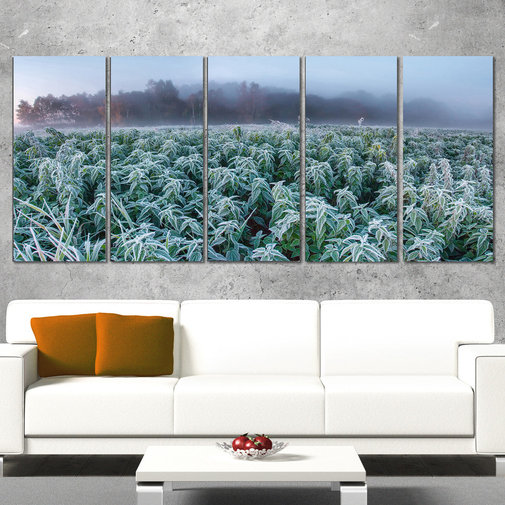 "Frozen Hemp Field in Autumn Morning" Landscape Wall Art, 5 Panels, 60"x28"