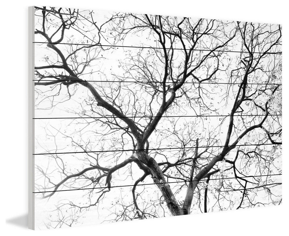 "Black Branches" Print on White Wood, 60"x40"