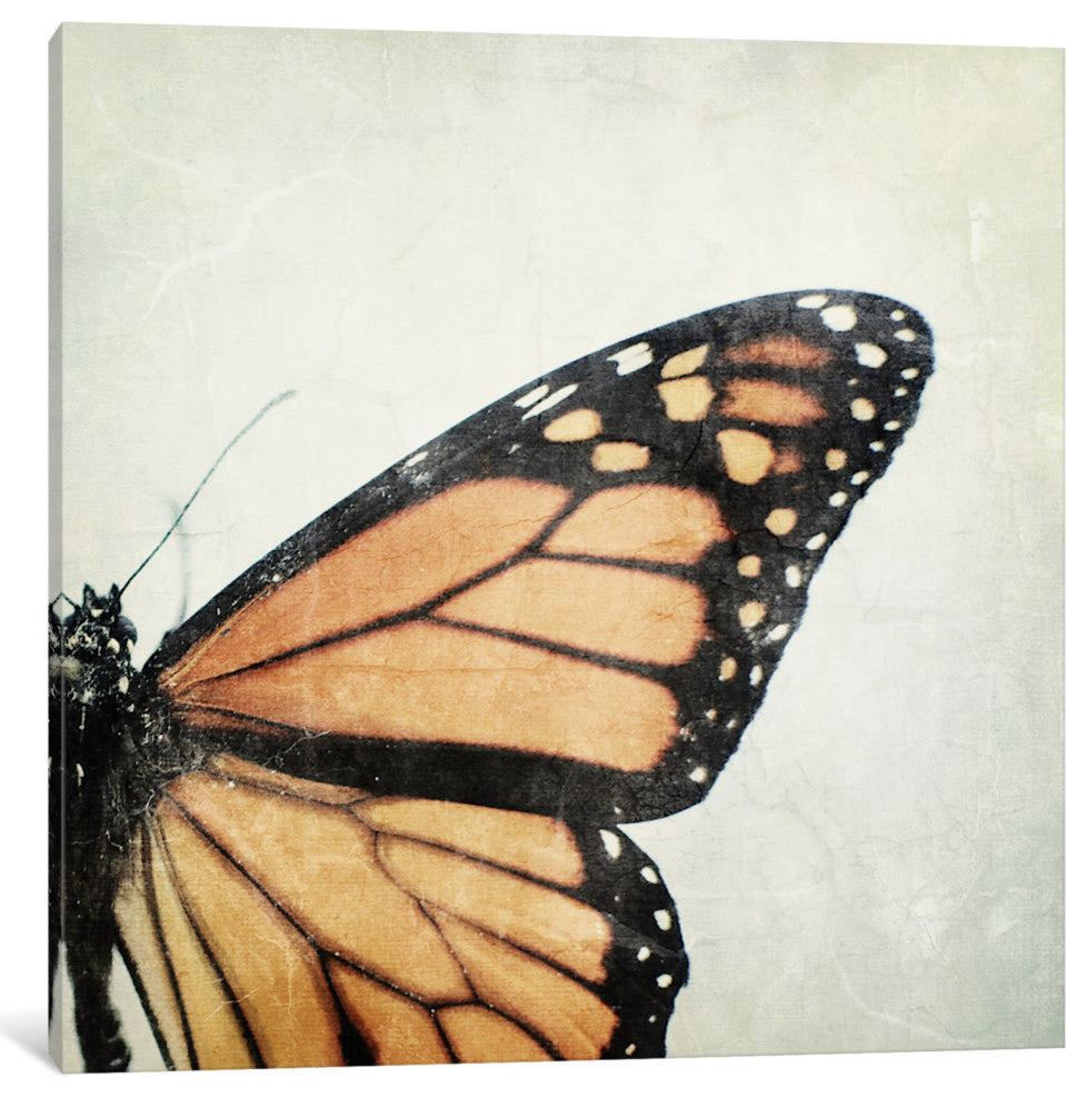 "The Monarch" by Chelsea Victoria, 18x18x1.5