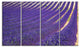 "Lavender Blooming Fields As Texture" Landscape Wall Art, 4 Panels, 48"x28"