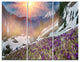 "Crocus Flowers in Carpathians" Photo Canvas Print, 3 Panels, 36"x28"