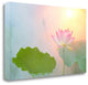 "Serenity" By Bahman Farzad, Giclee Print on Gallery Wrap Canvas, Ready to Hang