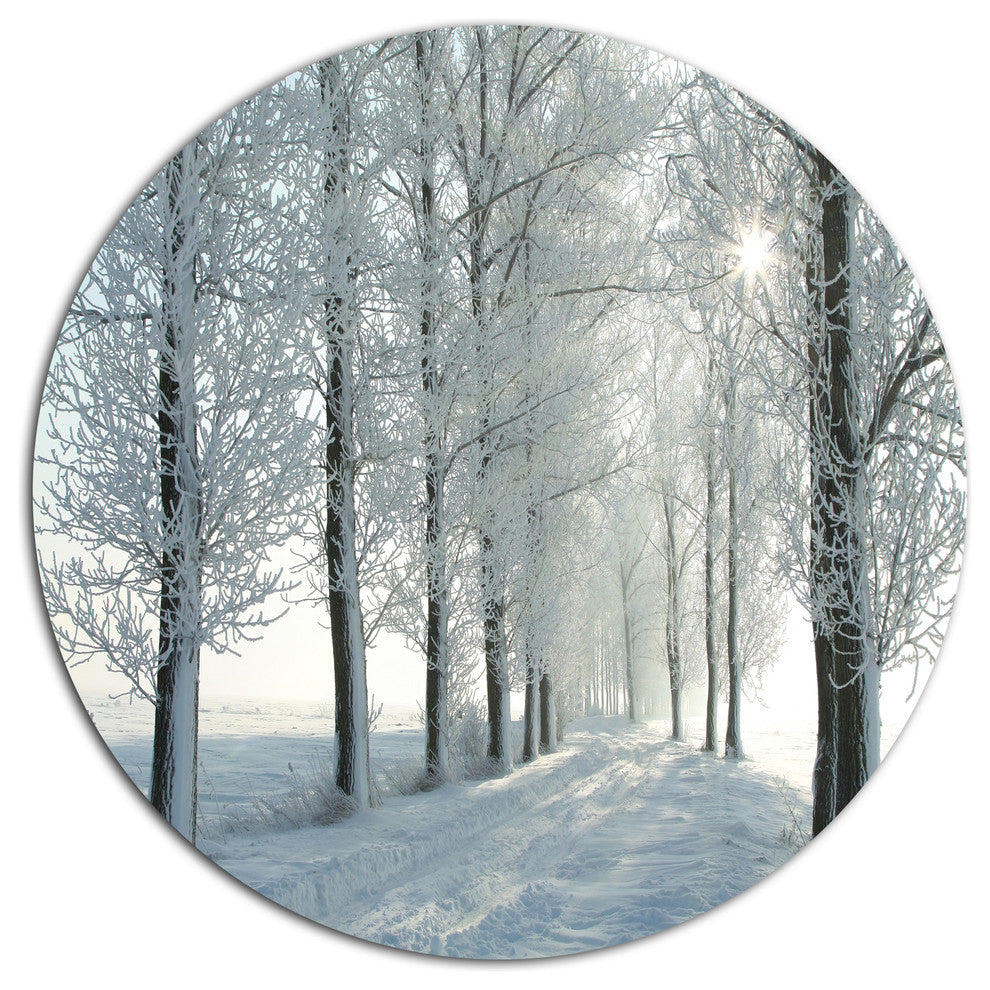 Winter Trees Backlit By Morning Sun, Forest Disc Metal Artwork, 11"