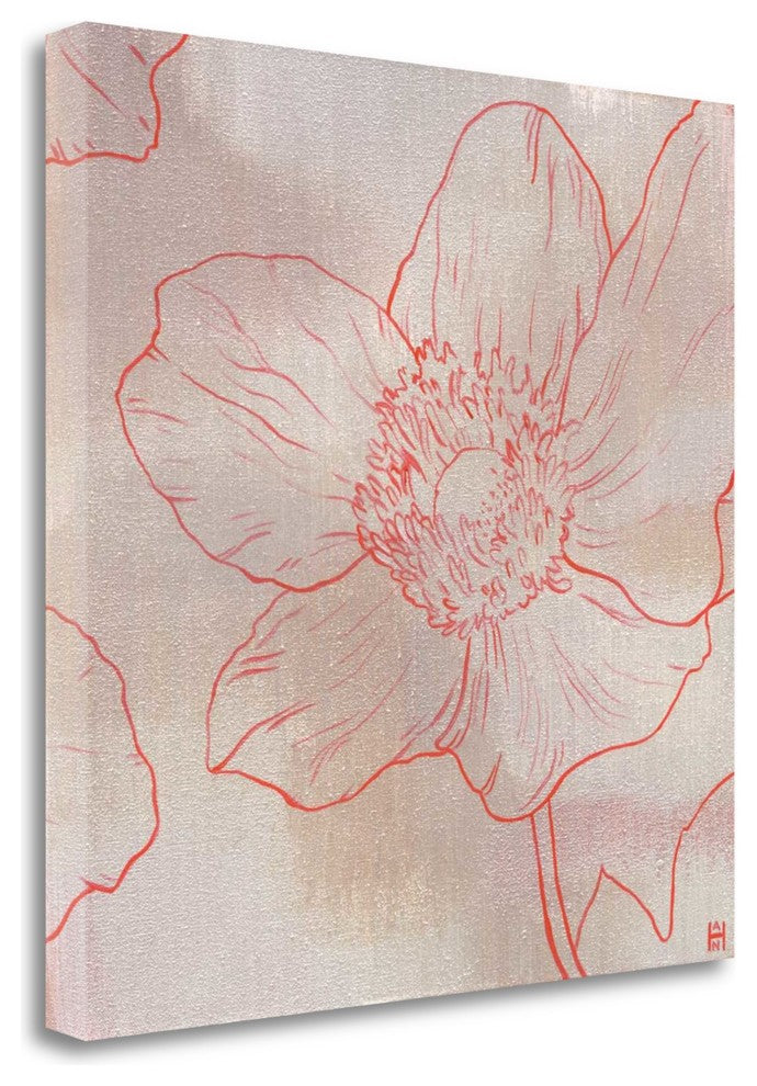 "Anemone II" By Stephanie Han,Ready to Hang Giclee Print on Gallery Wrap Canvas