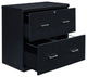 Alpine 2-Drawer Lateral File With Lockdowel Fastening System, Black Finish