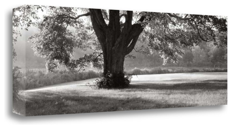 "Ascendancy)" By Mike Sleeper,Ready to Hang Giclee Print on Gallery Wrap Canvas